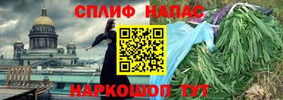 хмурый Гатчина