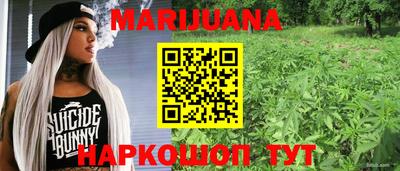 хмурый Гатчина
