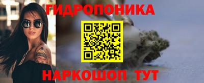 хмурый Гатчина