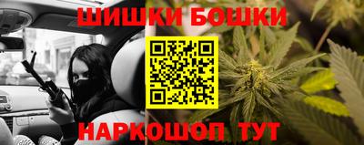 хмурый Гатчина